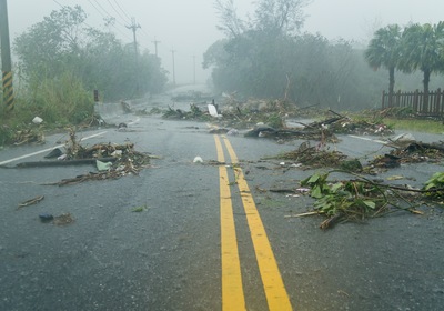 7 Garden Recovery Tips After Hurricane Matthew