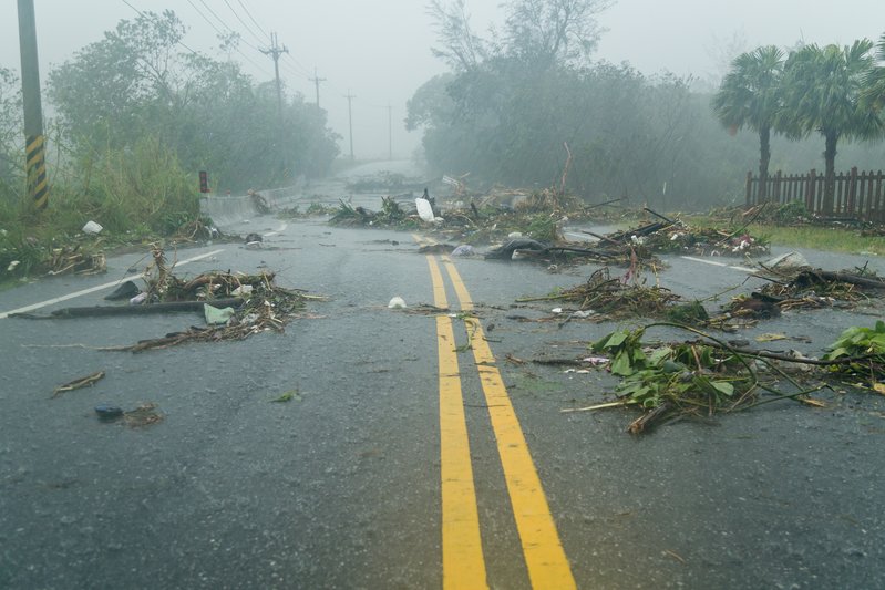 7 Garden Recovery Tips After Hurricane Matthew