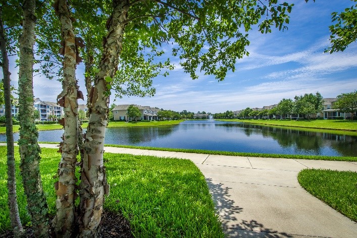 Florida Commercial Landscaping: An Eye for Reflection