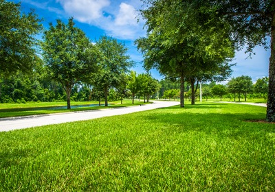 Hitting the Open Road: Why Roadway Landscapes Matter