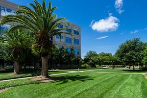 5 Walkway Ideas for Your Commercial Space