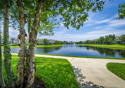 Central Florida Commercial Landscaping: DIY or Don’t?