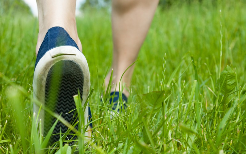 Exploring Natural Paths in Your Central Florida Landscape