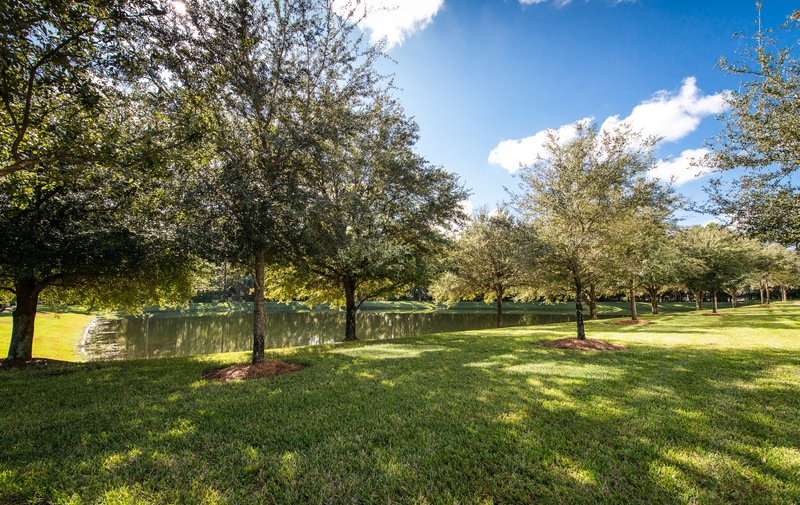 Tree Service: Cleaning-up After Storms