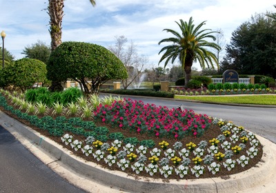5 Qualities of Effective Landscaping