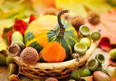 Happy Thanksgiving: Gratitude for Natural Beauty and Beyond