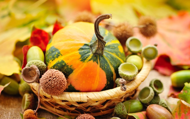 Happy Thanksgiving: Gratitude for Natural Beauty and Beyond