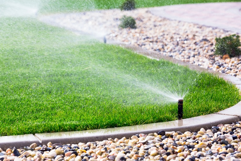 Landscaping Solutions to Save Time, Money, and Water