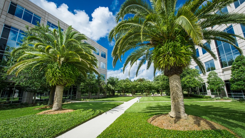 How Commercial Landscaping Attracts and Retains Tenants